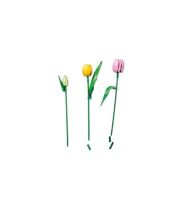 LEGO Botanicals Tulbikimp