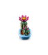 LEGO Botanicals Õitsev kaktus