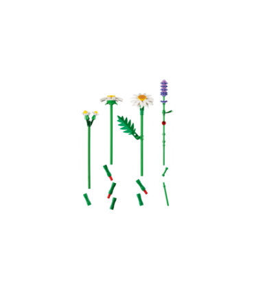 LEGO Botanicals Karikakrad