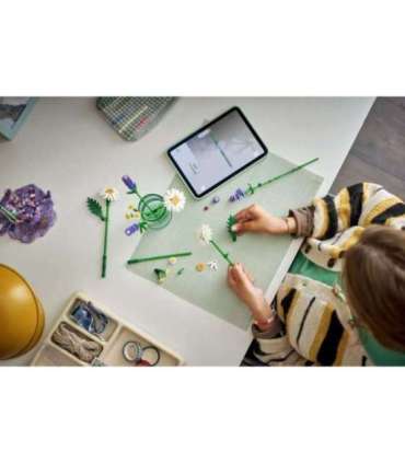 LEGO Botanicals Karikakrad