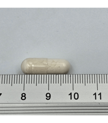 Game Dog Flora Protect układ pokarmowy, dla psa 60 kapsułek