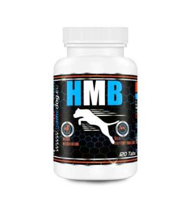 Game Dog Suplement diety HMB dla psa 120 kapsułek