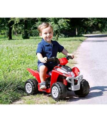 Laste elektriauto Peg-Perego Polaris Mini 6V