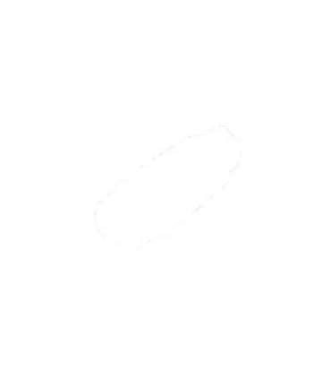 Adapter Type 2 -Type 1 16A