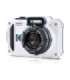 Kodak WPZ2 White