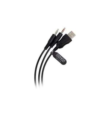 Baracuda BGH-031 Conch White