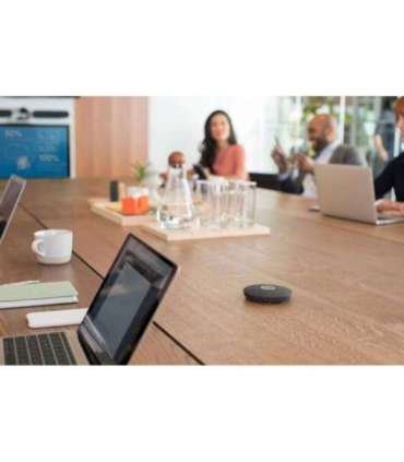 Logitech Rally Mic Pod