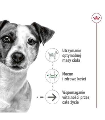 ROYAL CANIN Mini Ageing Adult +12 - dry dog food - 3,5 kg