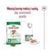 ROYAL CANIN Mini Ageing Adult +12 - dry dog food - 3,5 kg