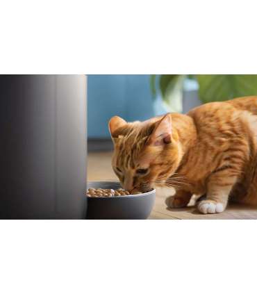 Philips 5000 Series Smart Feeder PAW5320/02, Black