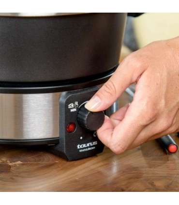 Taurus FF2 2 L 8 person(s)