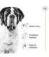 ROYAL CANIN Giant Adult - dry dog food - 15 kg