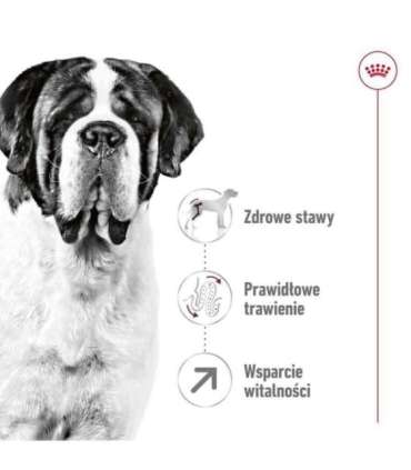 ROYAL CANIN Giant Adult - dry dog food - 15 kg