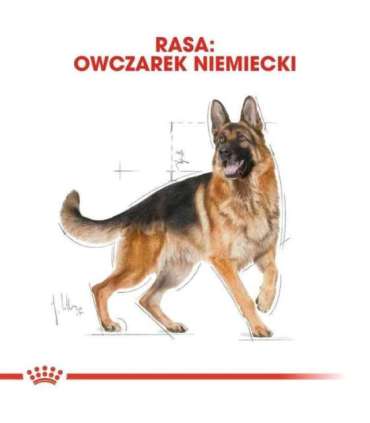 ROYAL CANIN BHN German Shepherd Adult dry dog food - 11kg