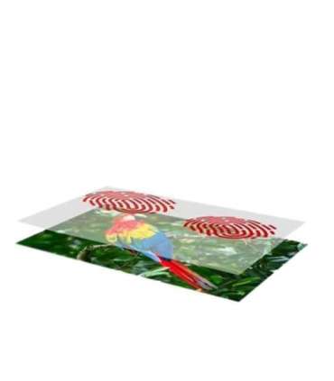 Kodak Mini Shot 2  Camera and Printer Combo Yellow