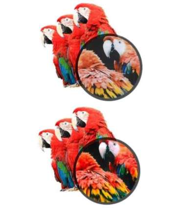 Kodak Mini Shot 2  Camera and Printer Combo Yellow