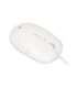 iBOX i011 Seagull wired optical mouse, white