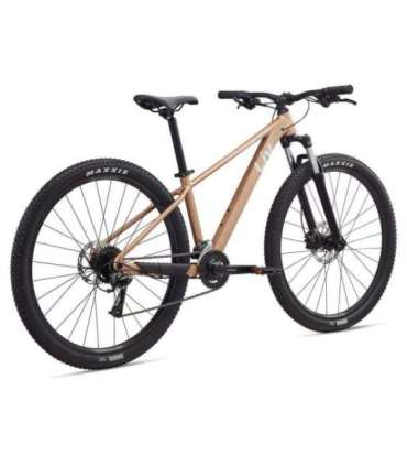 Naiste jalgratas LIV Tempt 3, 29" Golden Wheat (M)
