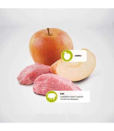 FARMINA N&D CAT PRIME BOAR & APPLE  70g