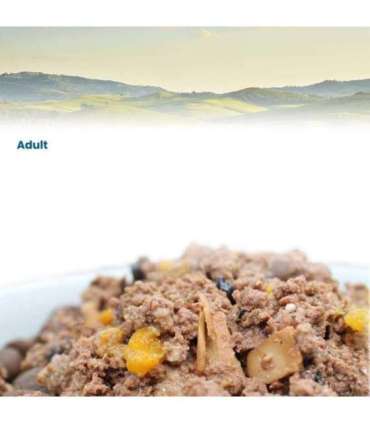 FARMINA N&D CAT PRIME BOAR & APPLE  70g