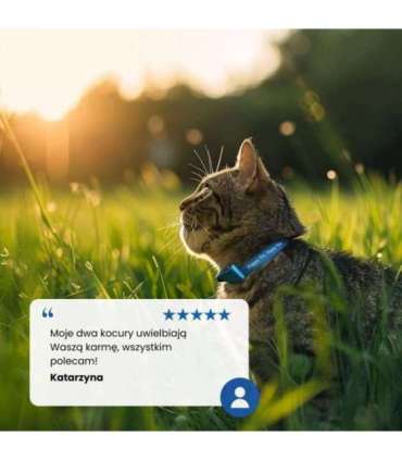 FARMINA N&D CAT PRIME BOAR & APPLE  70g