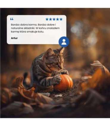 Farmina N&D Cat Lamb & Pumpkin & Blueberry  70g