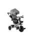 Tricycle PRO300 Gray