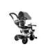 Tricycle PRO300 Gray