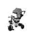 Tricycle PRO300 Gray