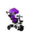 Tricycle PRO300 Violet