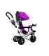 Tricycle PRO300 Violet