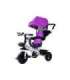 Tricycle PRO300 Violet