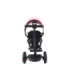 PRO550 Pink Tricycle