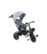 PRO550 Gray Tricycle