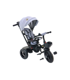 PRO550 Gray Tricycle