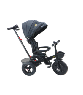 PRO550 Tricycle Bike Black