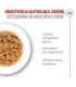 ROYAL CANIN Ageing 11+ Chunks in gravy - wet cat food - 12x85g
