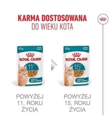 ROYAL CANIN Ageing 11+ Chunks in gravy - wet cat food - 12x85g