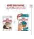 ROYAL CANIN Ageing 11+ Chunks in gravy - wet cat food - 12x85g