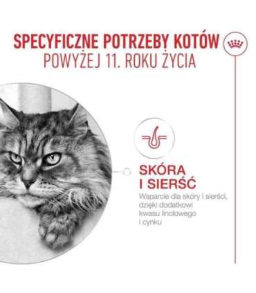ROYAL CANIN Ageing 11+ Chunks in gravy - wet cat food - 12x85g
