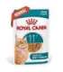 ROYAL CANIN Ageing 11+ Chunks in gravy - wet cat food - 12x85g