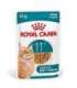 ROYAL CANIN Ageing 11+ Chunks in gravy - wet cat food - 12x85g