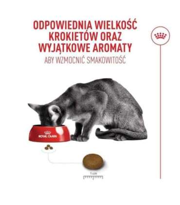 ROYAL CANIN Savour Exigent - dry cat food - 400g