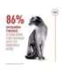 ROYAL CANIN Savour Exigent - dry cat food - 400g