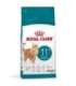 ROYAL CANIN Ageing 11+ - dry cat food - 4kg