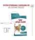 ROYAL CANIN Ageing 11+ - dry cat food - 4kg