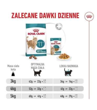 ROYAL CANIN Ageing 11+ - dry cat food - 4kg