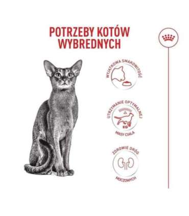 ROYAL CANIN Savour Exigent - dry cat food - 2kg
