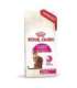 ROYAL CANIN Savour Exigent - dry cat food - 2kg