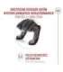 ROYAL CANIN Ageing 11+ Sterilised - dry cat food - 4kg